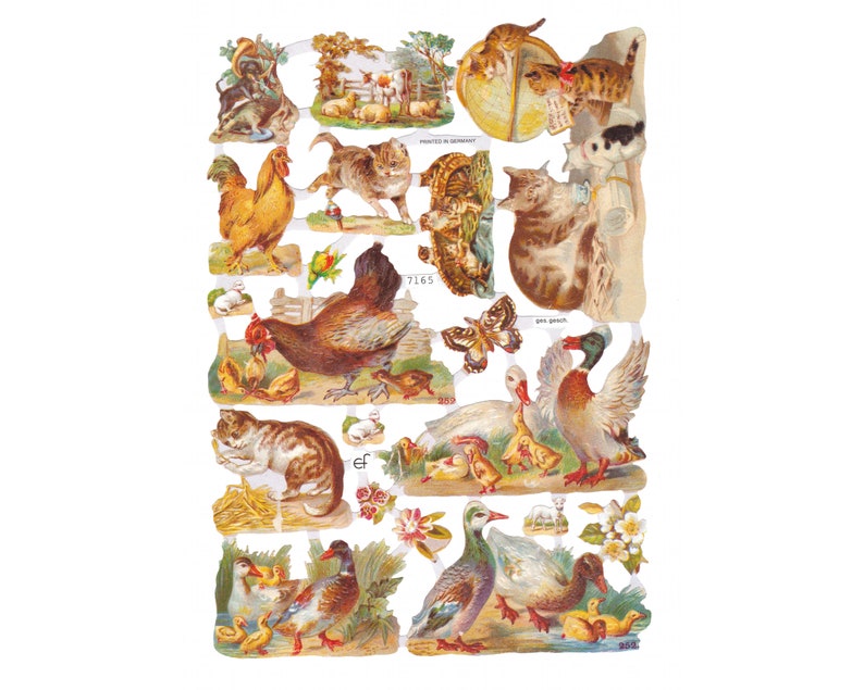 Die Cut Paper Scraps Chicken 6 Meissa print