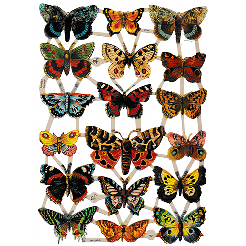 Die Cut Paper Scraps Butterflies 1 Meissa print